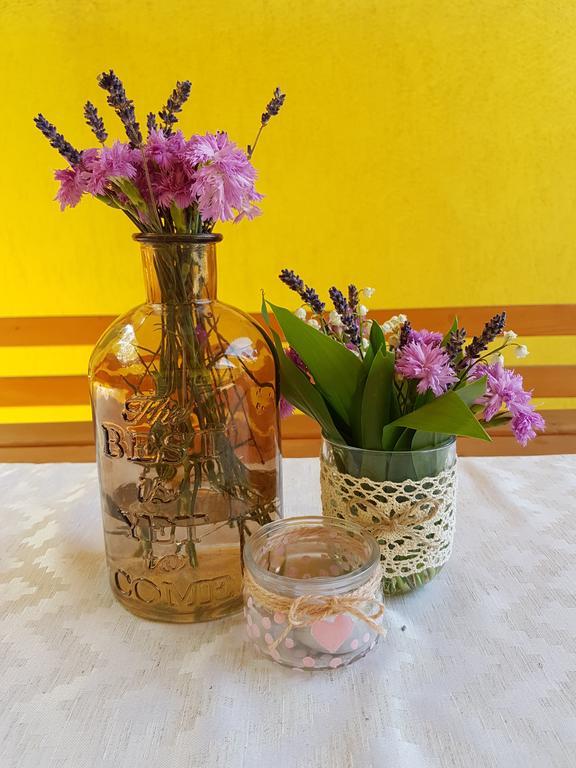 House Minerilor Apartment Cluj-Napoca