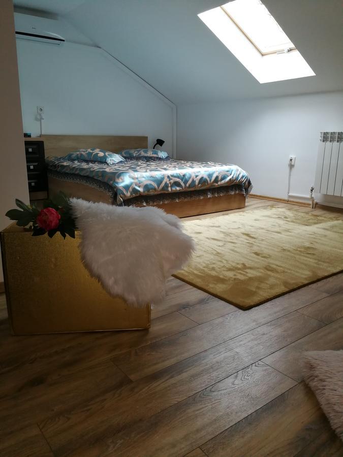 House Minerilor Apartment