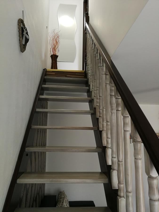 House Minerilor Apartment