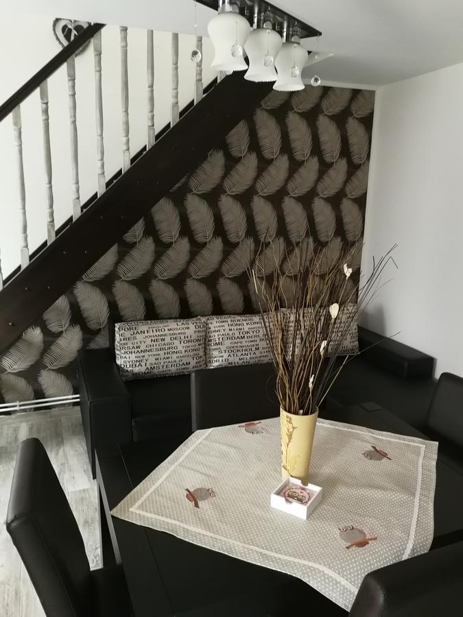 House Minerilor Cluj-Napoca