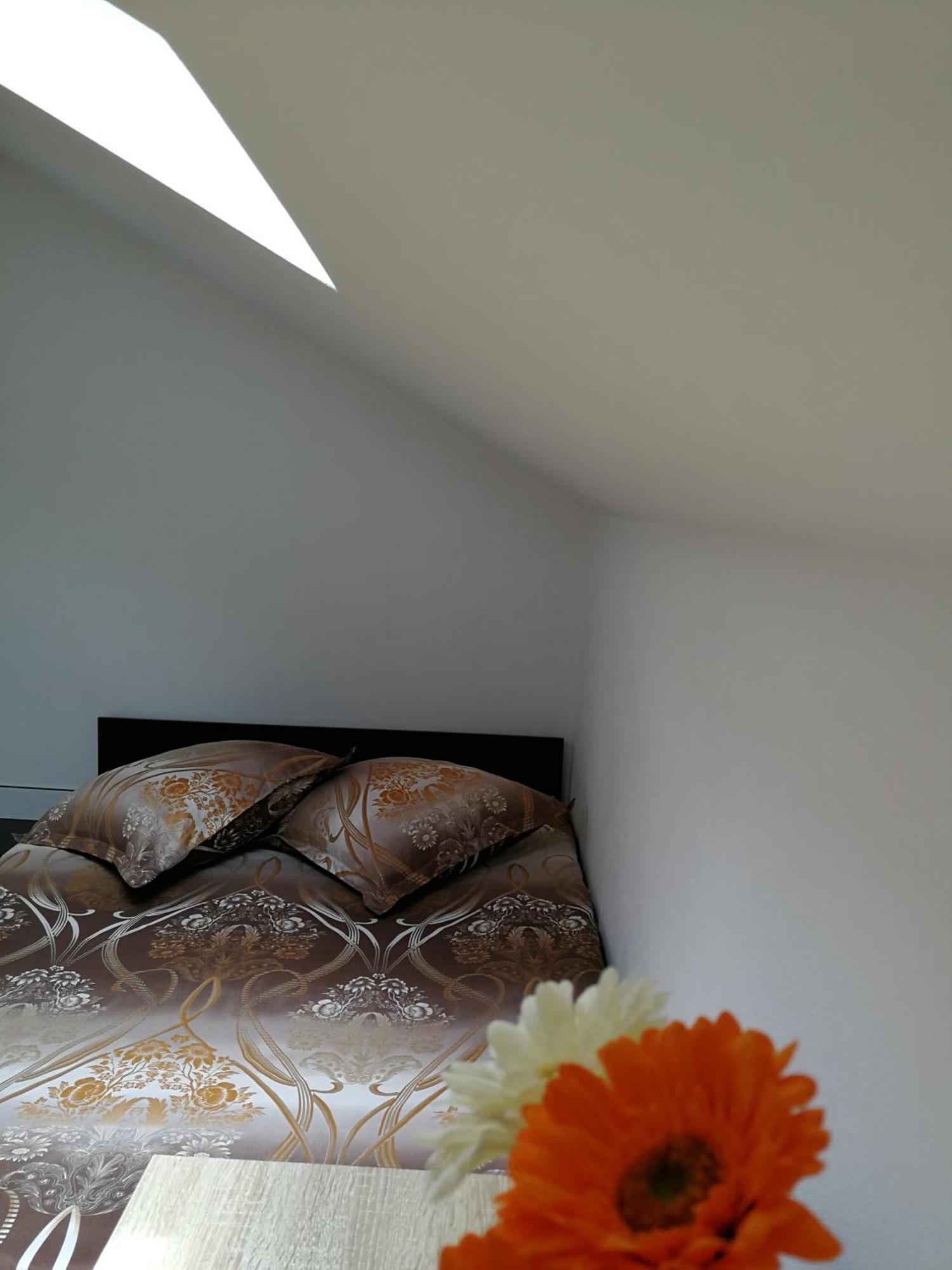 House Minerilor Apartment